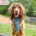Disney© Tough Trails™ Harness - Stitch's Fruit Fiesta