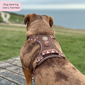 Tough Trails™ Harness - Walkies Ready® Chocolate Brown