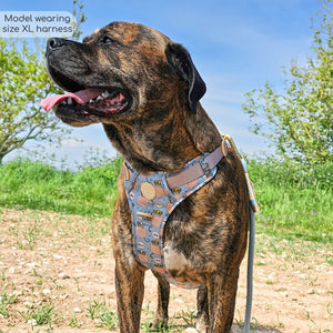 Disney© Tough Trails™ Harness - Lion Friends