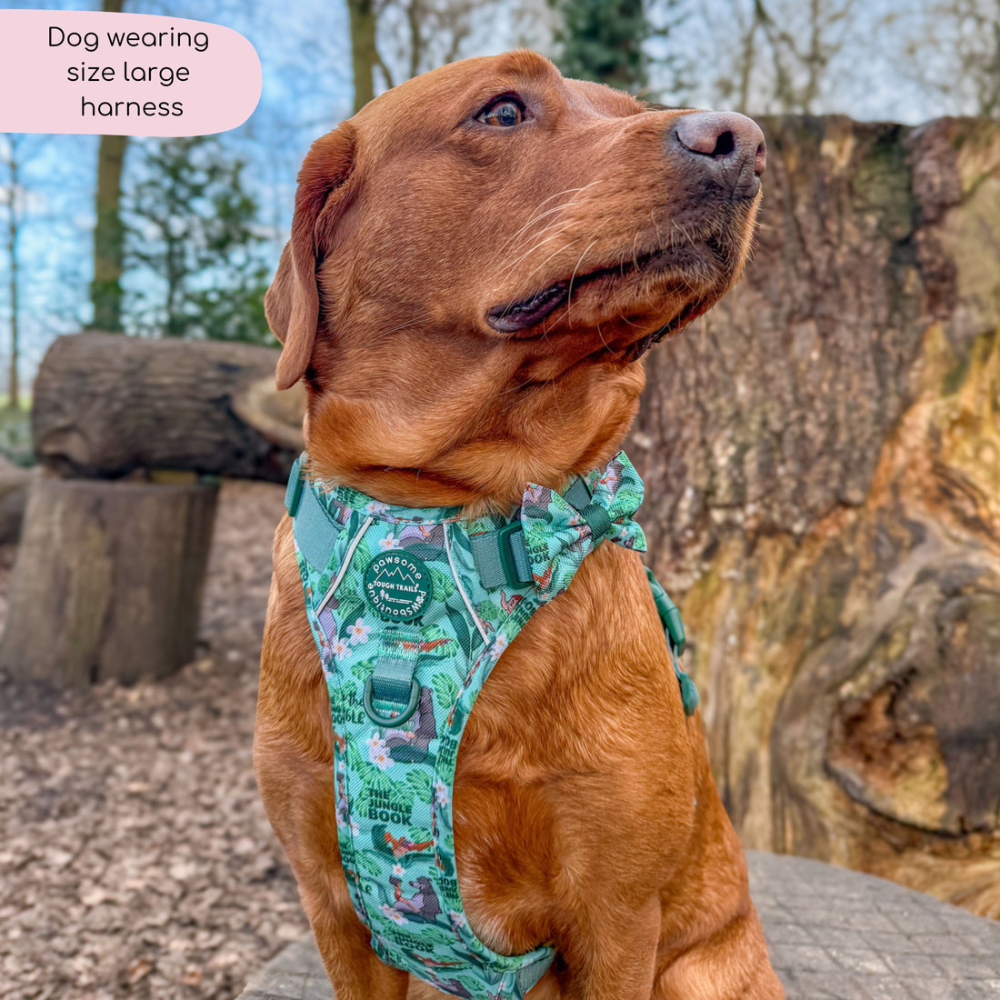 Disney© Tough Trails™ Harness - Jungle Book