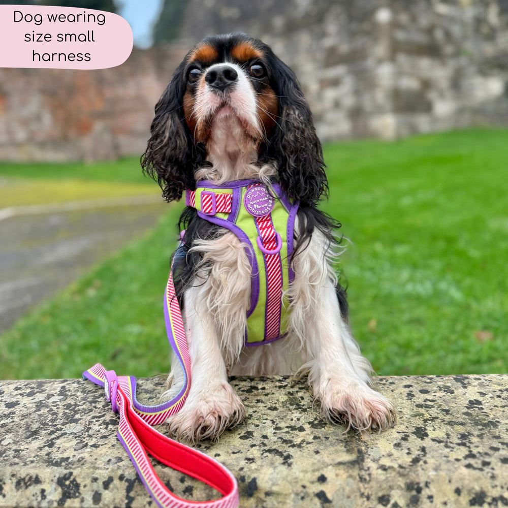 Disney© Tough Trails™ Harness - Buzz Lightyear