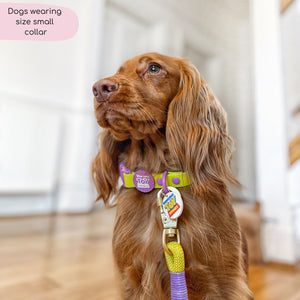 Disney© Waterproof Collar - Buzz Lightyear