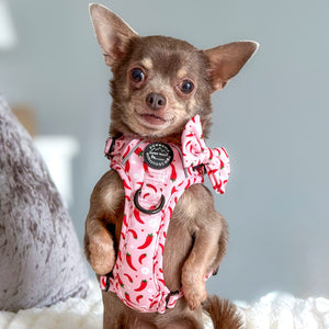 Bow Tie - Chilli Dog