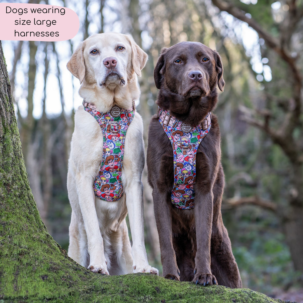 Disney© Tough Trails™ Harness - Toy Story Friends