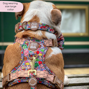 Disney© Collar - Toy Story Friends