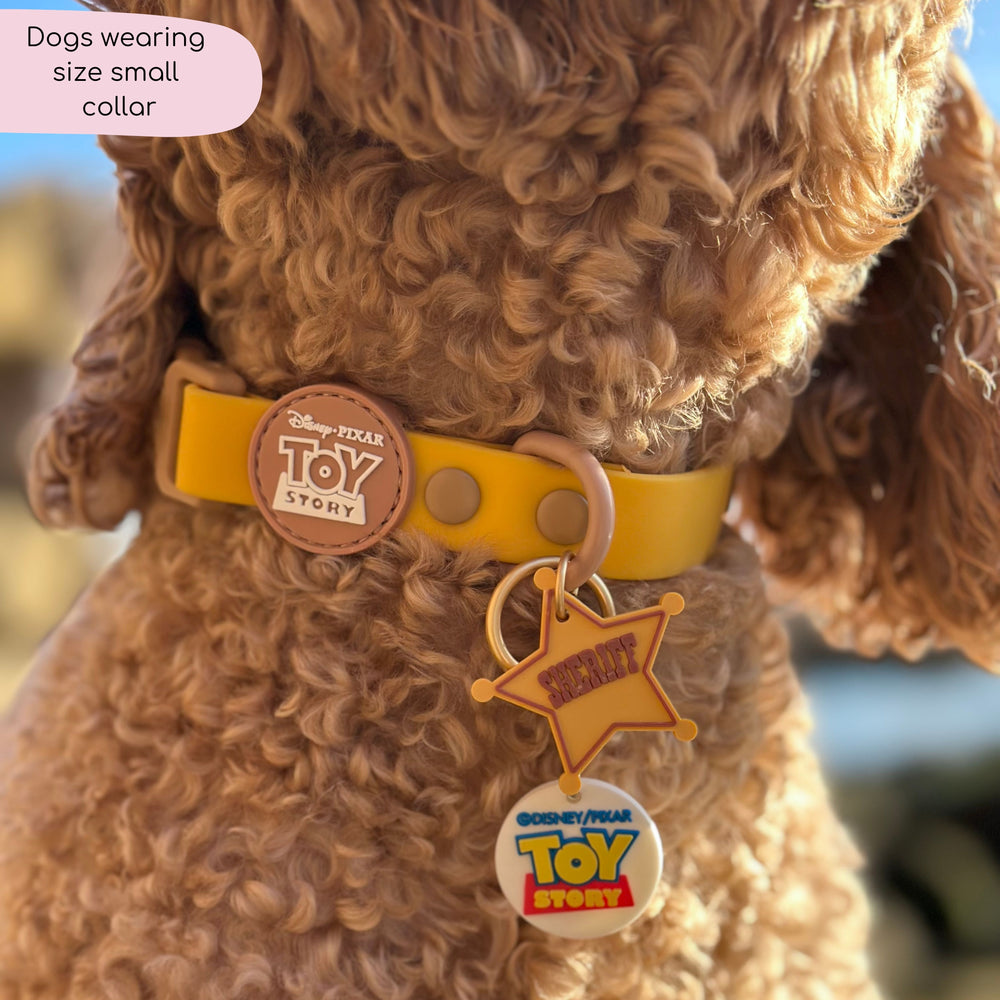 Disney© Waterproof Collar - Woody