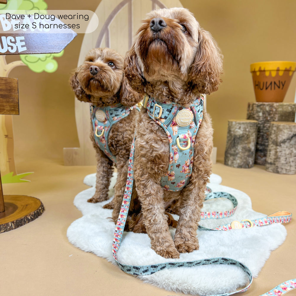 Disney© Tough Trails™ Harness - Winnie The Pooh