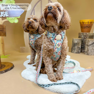 Disney© Tough Trails™ Harness - Winnie The Pooh