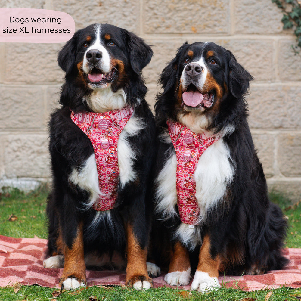 Disney© Tough Trails™ Harness - Jessie