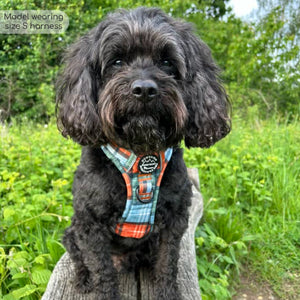 Tough Trails™ Harness - Harvest Plaid