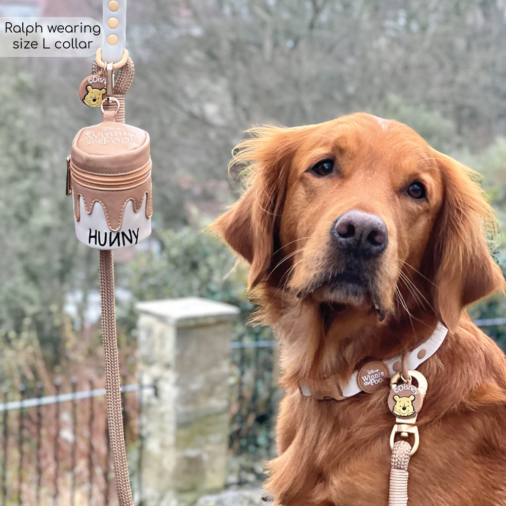 Disney© Waterproof Collar - Winnie The Pooh