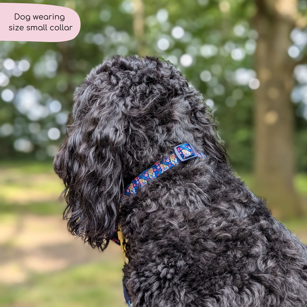 Disney© Collar - Alice In Wonderland