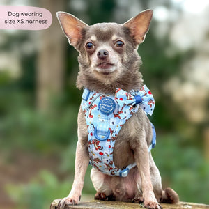 Disney© Tough Trails™ Harness - Tigger