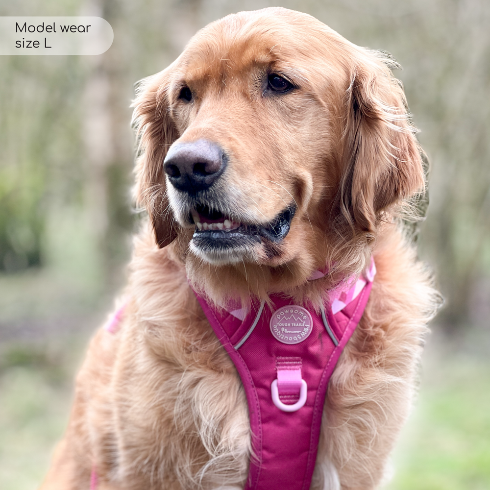 Tough Trails™ Harness - Walkies Ready® Raspberry Pink
