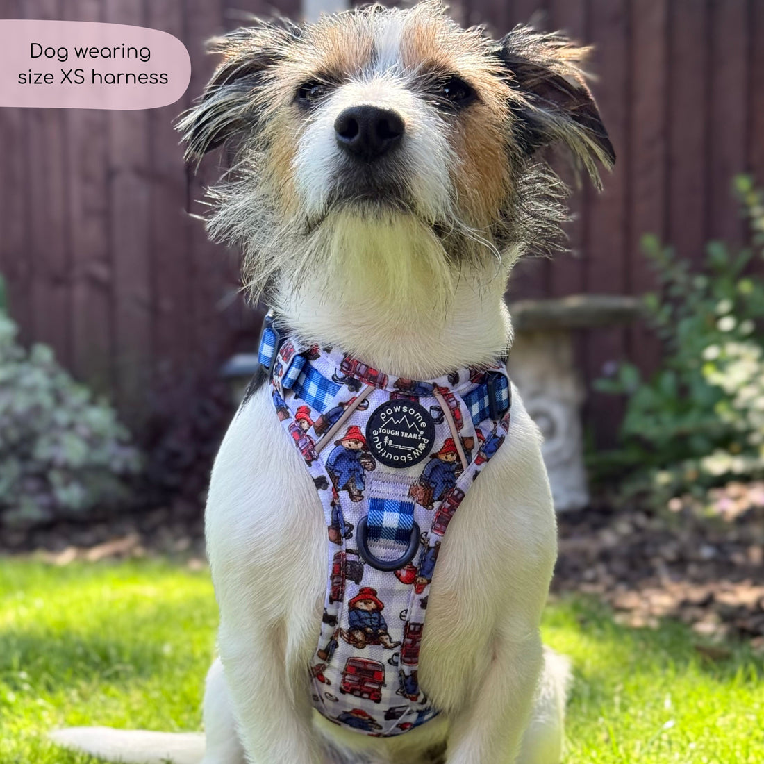 Paddington™ Tough Trails™ Harness - London