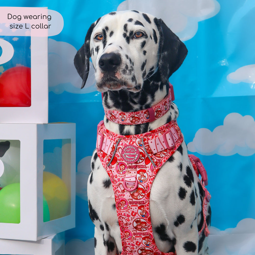 Disney© Collar - Jessie