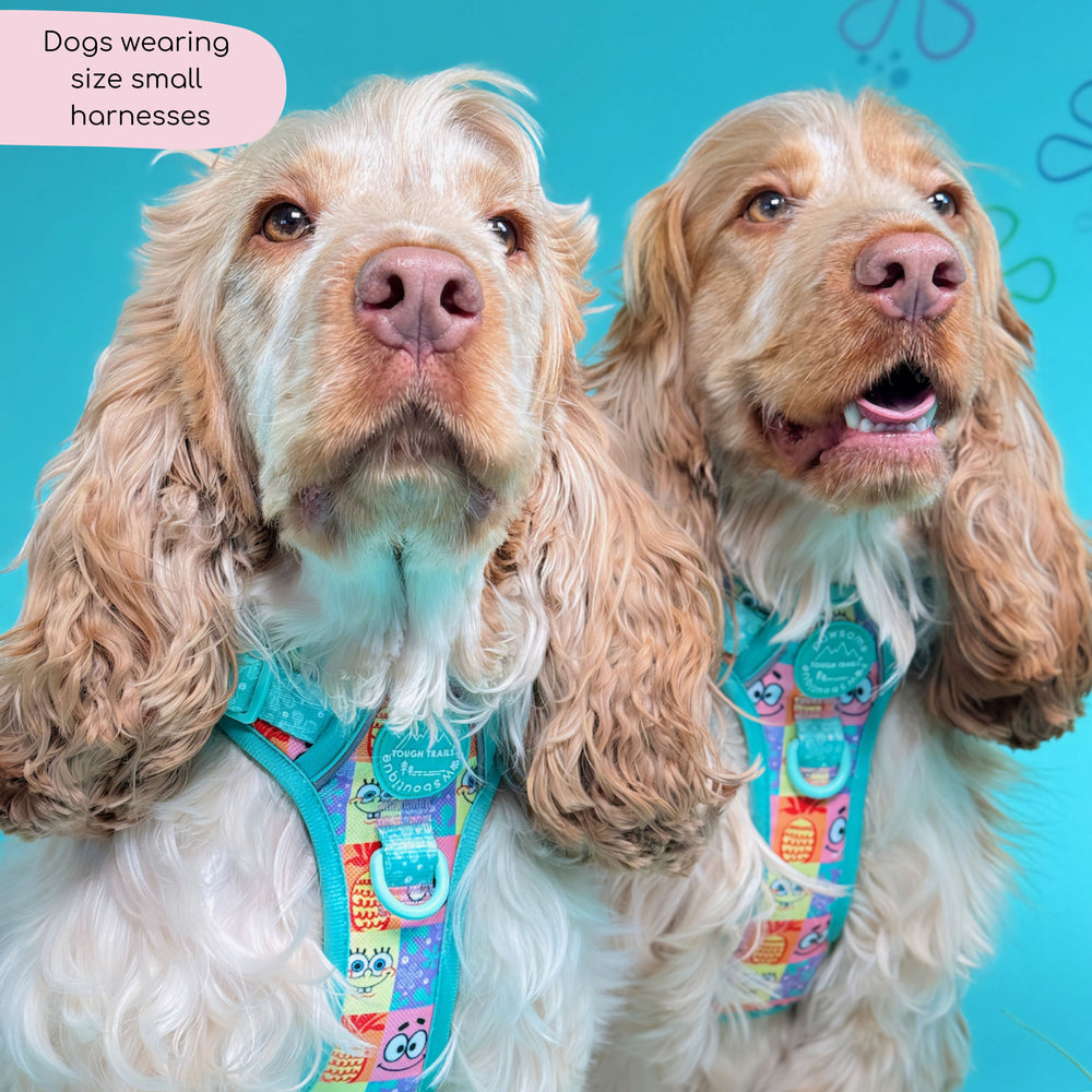 Tough Trails™ Harness - Spongebob