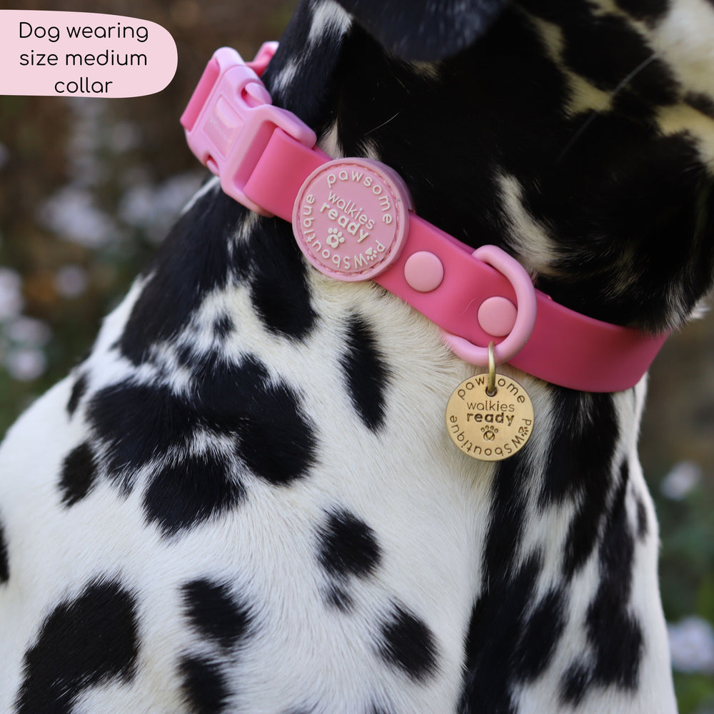 Waterproof Collar - Walkies Ready® Raspberry Pink