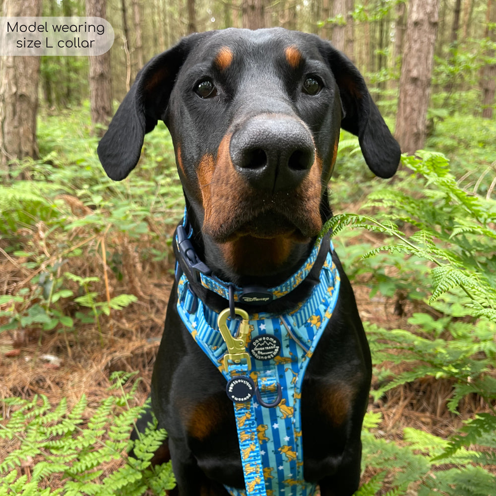 Disney© Collar - Simba