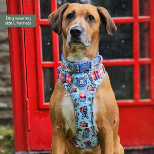 Paddington™ Tough Trails™ Harness - Christmas