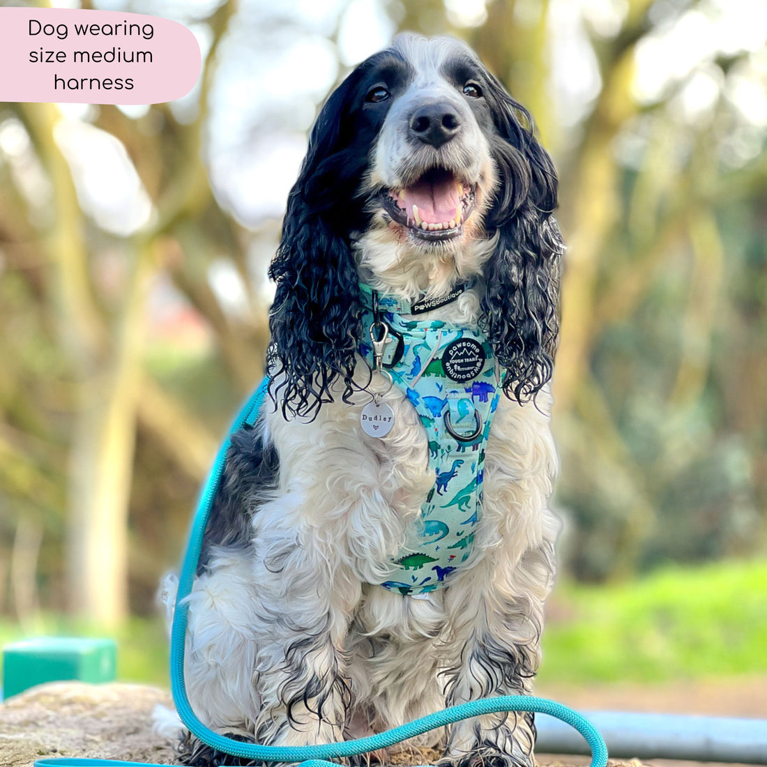 Tough Trails™ Harness - Dinky Dino