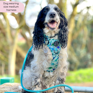 Tough Trails™ Harness - Dinky Dino