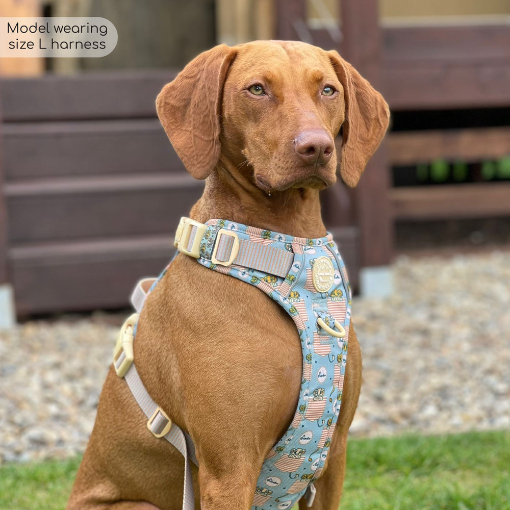 Disney© Tough Trails™ Harness - Lion Friends