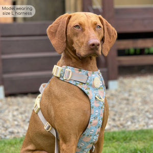 Disney© Tough Trails™ Harness - Lion Friends