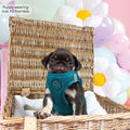 Pawsome Pup Harness - Emerald
