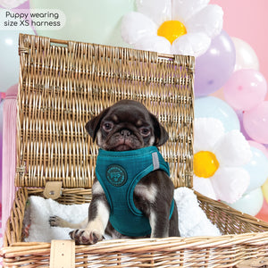 Pawsome Pup Harness - Emerald