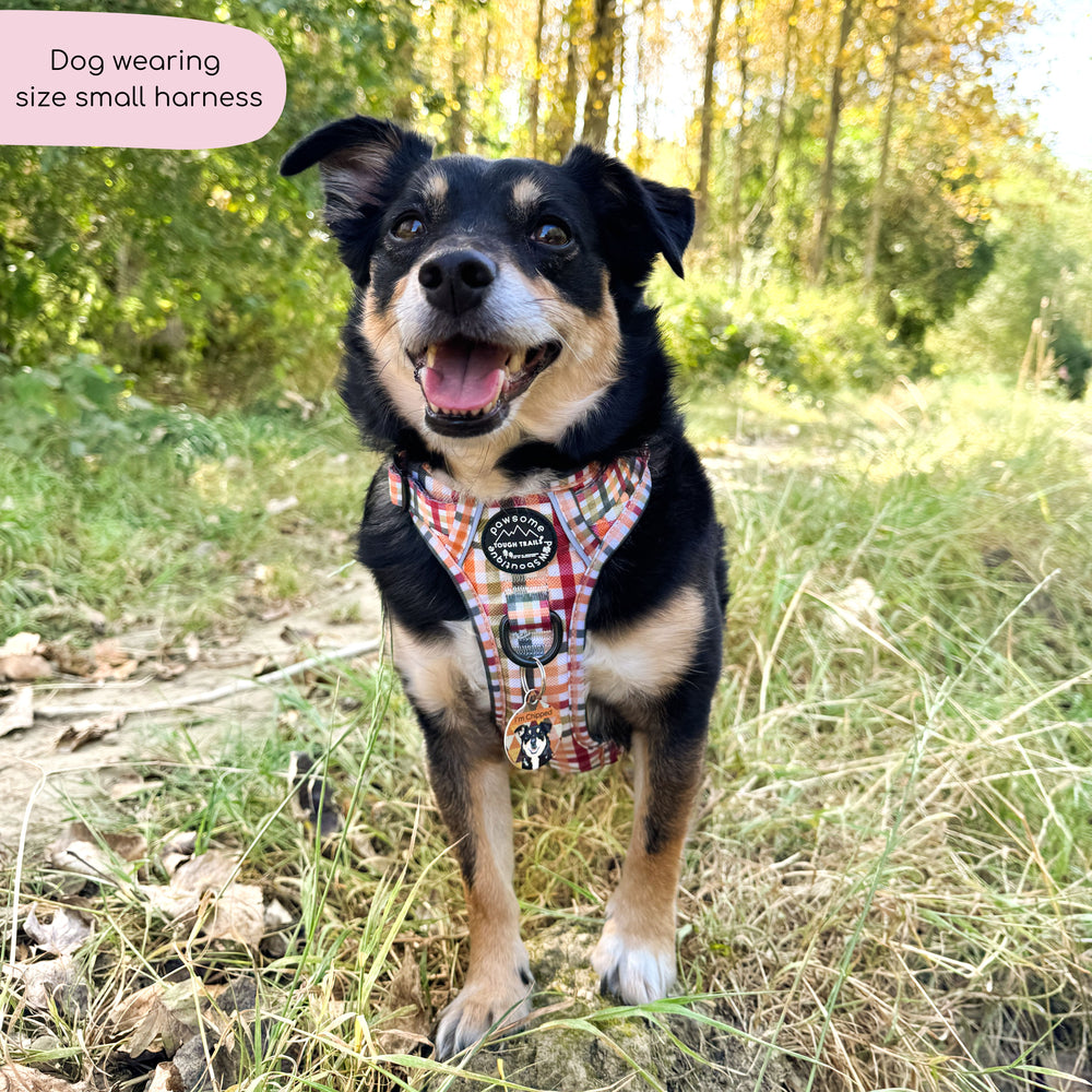 Tough Trails™ Harness - Plaid Pup