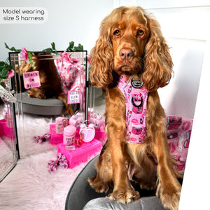 Tough Trails™ Harness - Mean Girls