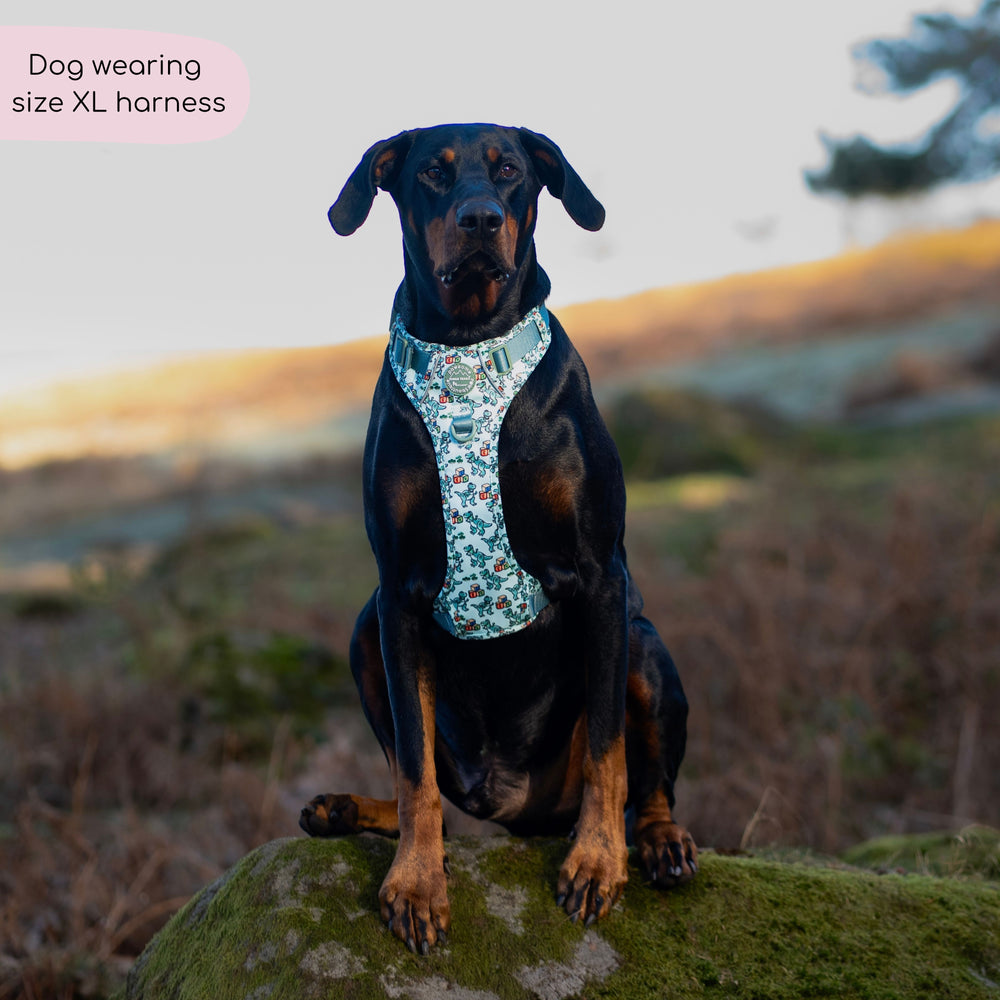 Disney© Tough Trails™ Harness - Rex