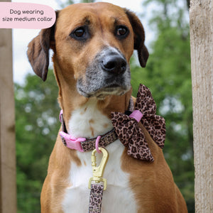 Collar - Leopard Print