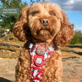 Disney© Tough Trails™ Harness - 101 Dalmatians