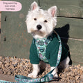 Disney© Tough Trails™ Harness - Jungle Book