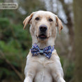 Disney© Bow Tie - Winnie + Friends