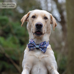 Disney© Bow Tie - Winnie + Friends