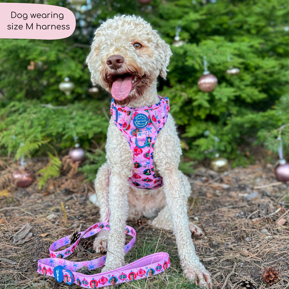 Disney© Tough Trails™ Harness - Princess
