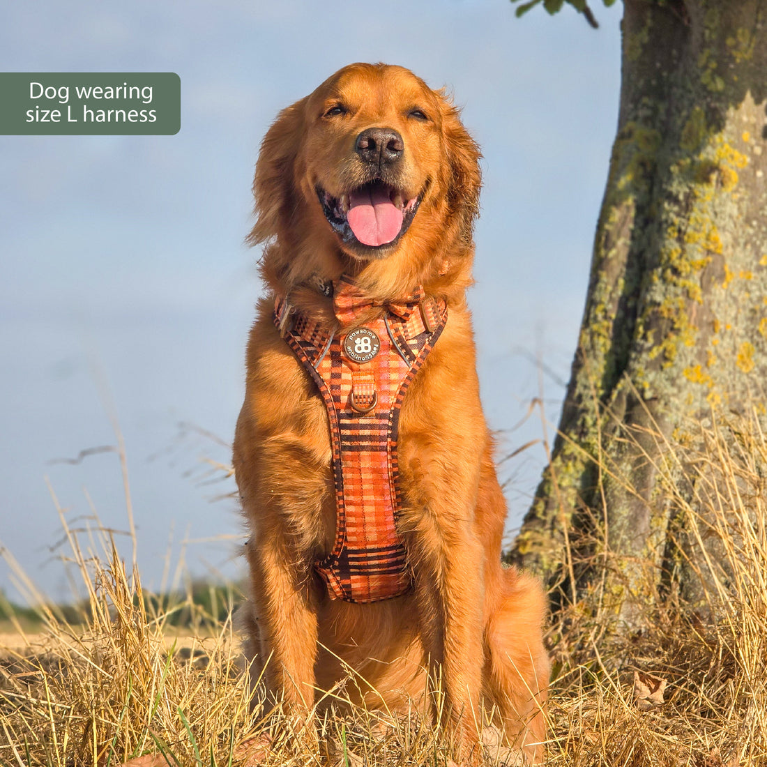 Tough Trails™ Harness -  Golden Acre
