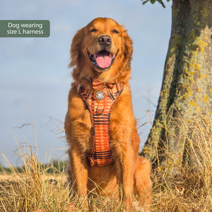 Tough Trails™ Harness -  Golden Acre