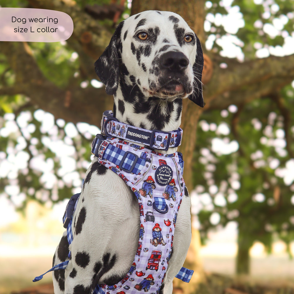 Paddington™ Collar - London