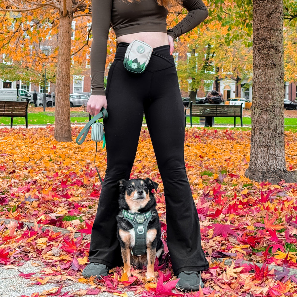 Poo Bag Holder - Walkies Ready® Forest Green