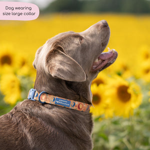 Collar - Celestial Spirit