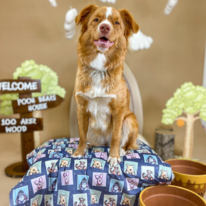 Disney© Dog Blanket - Winnie + Friends