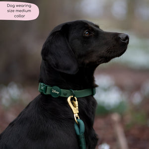 Disney© Waterproof Collar - Jungle Book