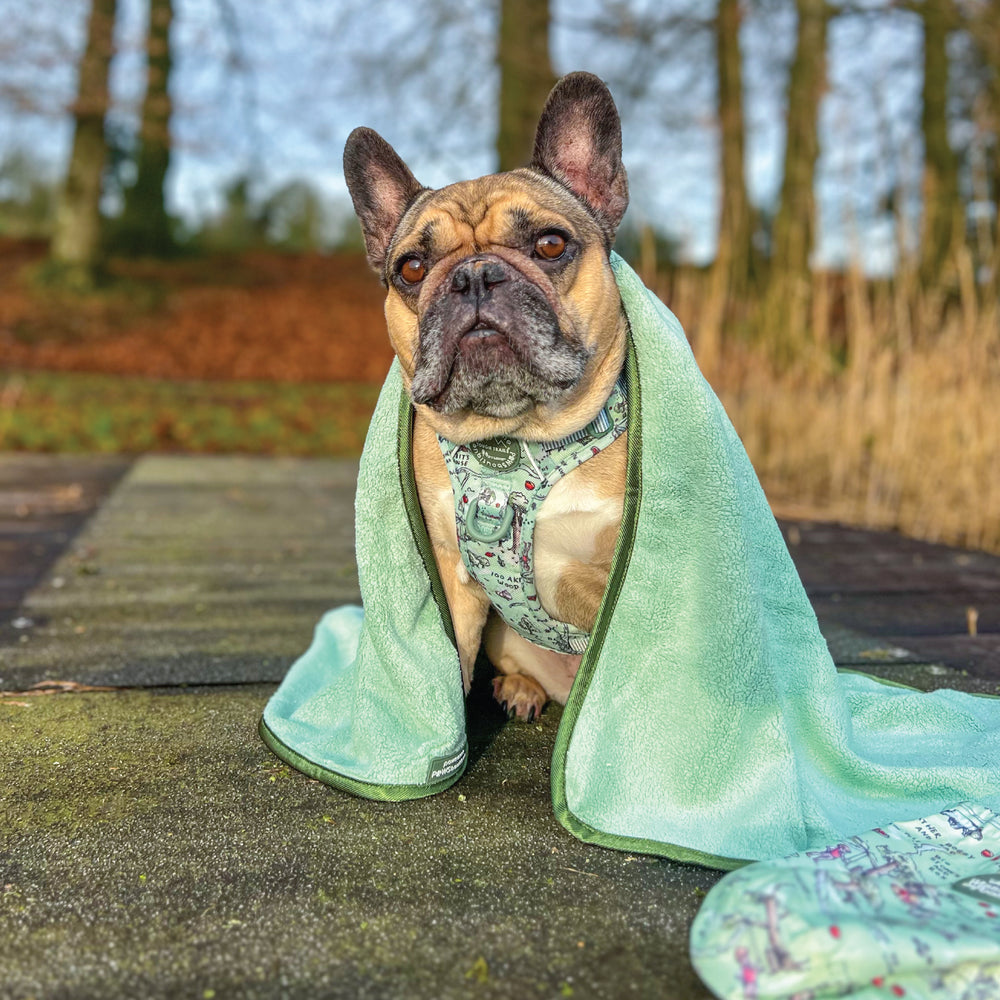 Disney© Microfibre Towel - 100 Aker Wood