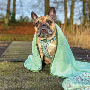 Disney© Microfibre Towel - 100 Aker Wood