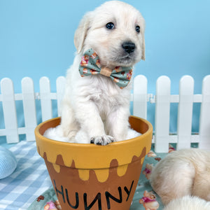 Disney© Bow Tie - Winnie The Pooh