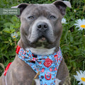 Disney© Tough Trails™ Harness - Dumbo